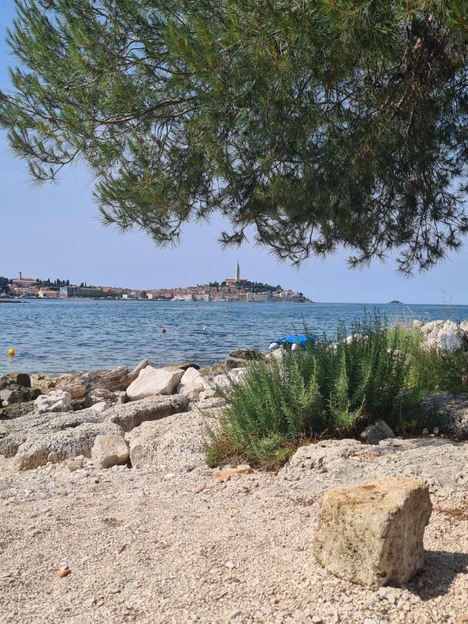 Hemy Casa - Lux Mobile Homes Rovinj Ngoại thất bức ảnh